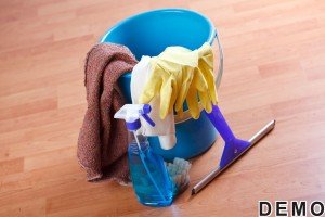 Janitorial Services